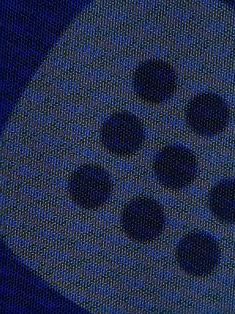 Close-up photograph showing the pixel structure of a smartphone OLED display
