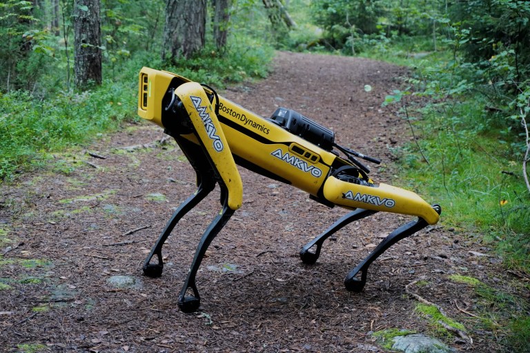 Boston Dynamics Spot quadruped robot standing indoors